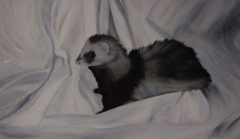 furet